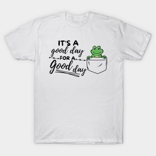 Its a good day for a good day T-Shirt